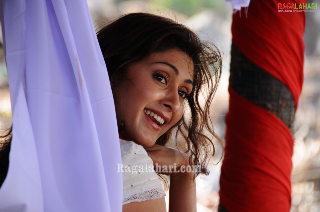 Manjari Fadnis